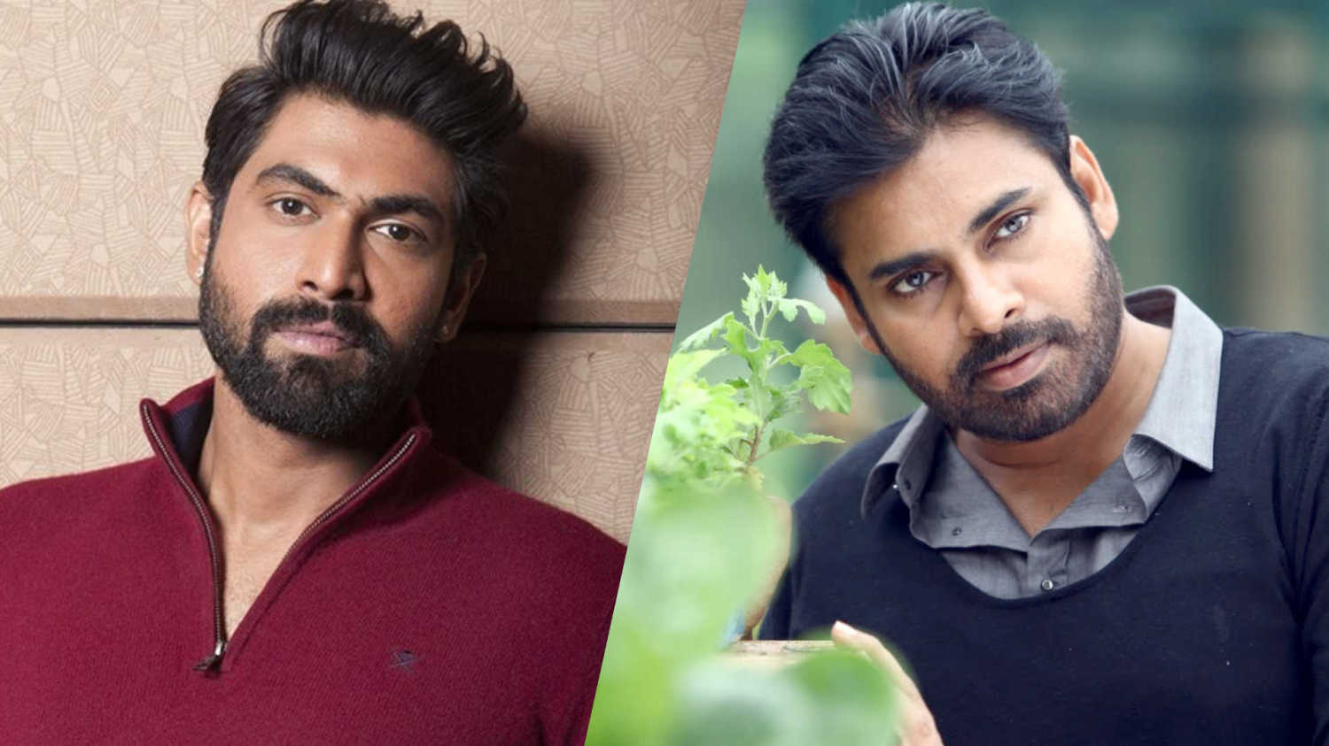 Rana Daggubati and Pawan Kalyan