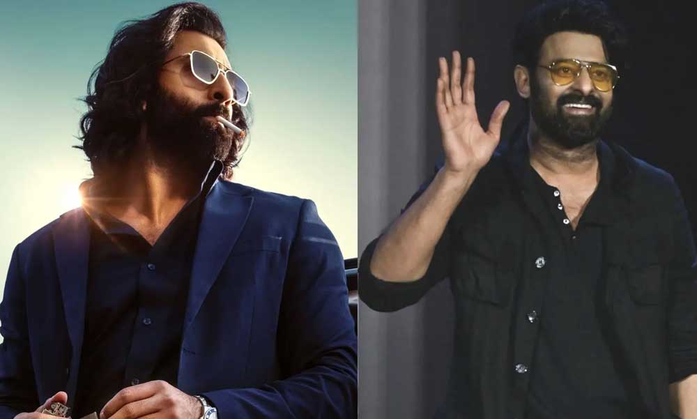 Ranbir Kapoor Cameo In Prabhas Spirit