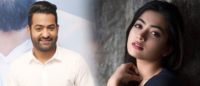 Rashmika Mandanna Opposite NTR!