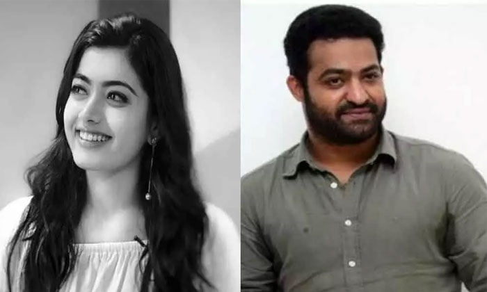 Rashmika Opposite NTR!