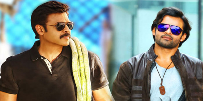 Sai Tej to Collaborate Venkatesh?