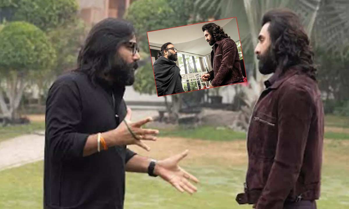 Sandeep Reddy Vanga - Ranbir Kapoor