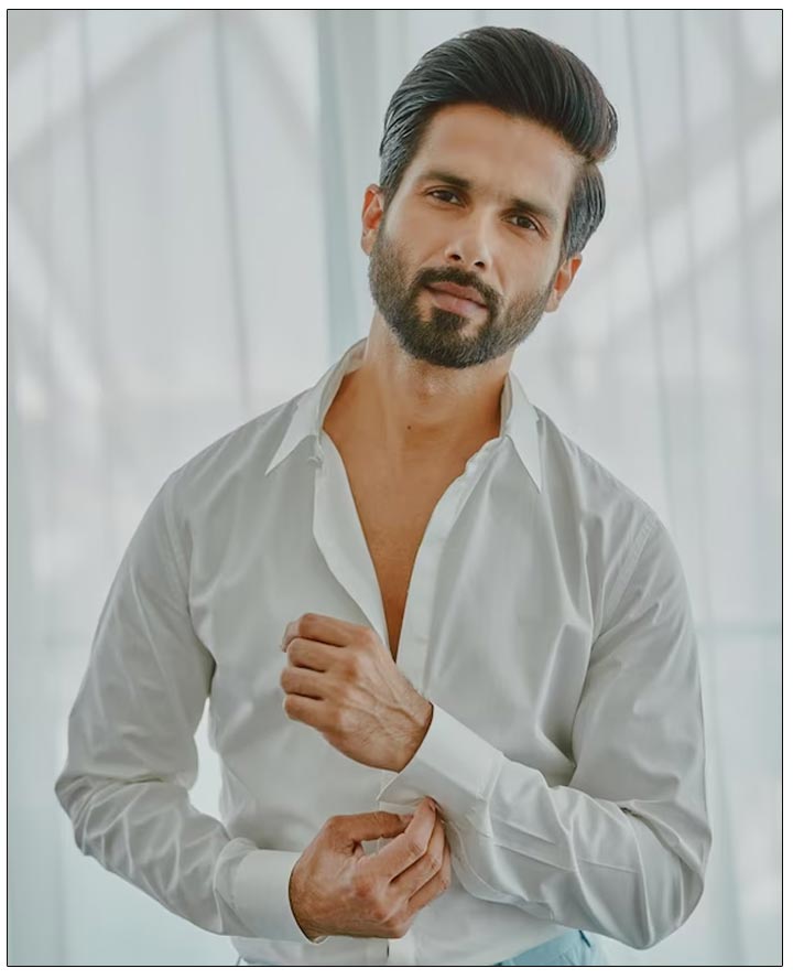 Shahid Kapoor On Post Kabir Singh Experience