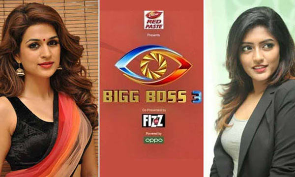 Shraddha Das Wild Card In Bigg Boss 3