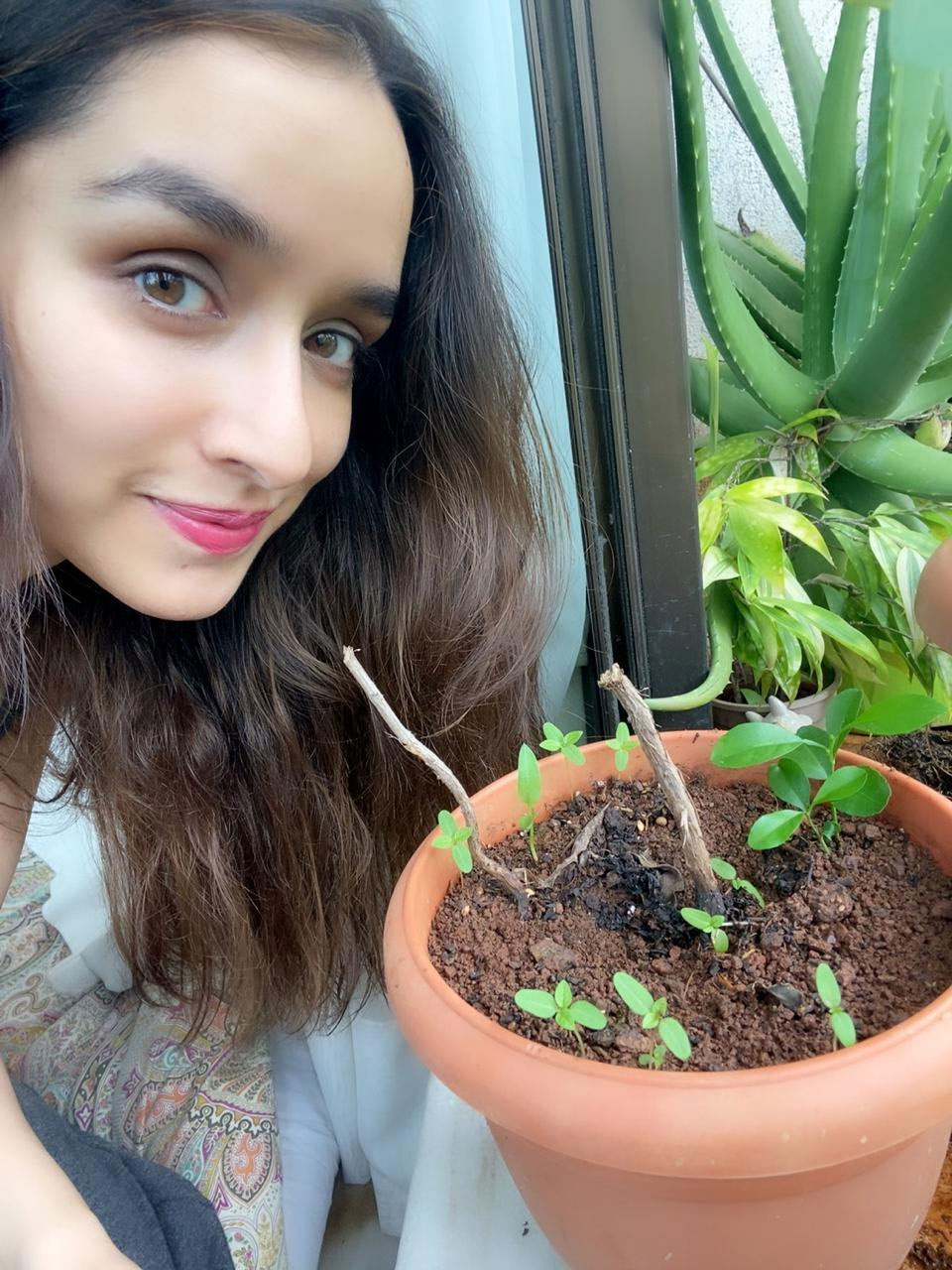 Shraddha Kapoor Green India Challenge