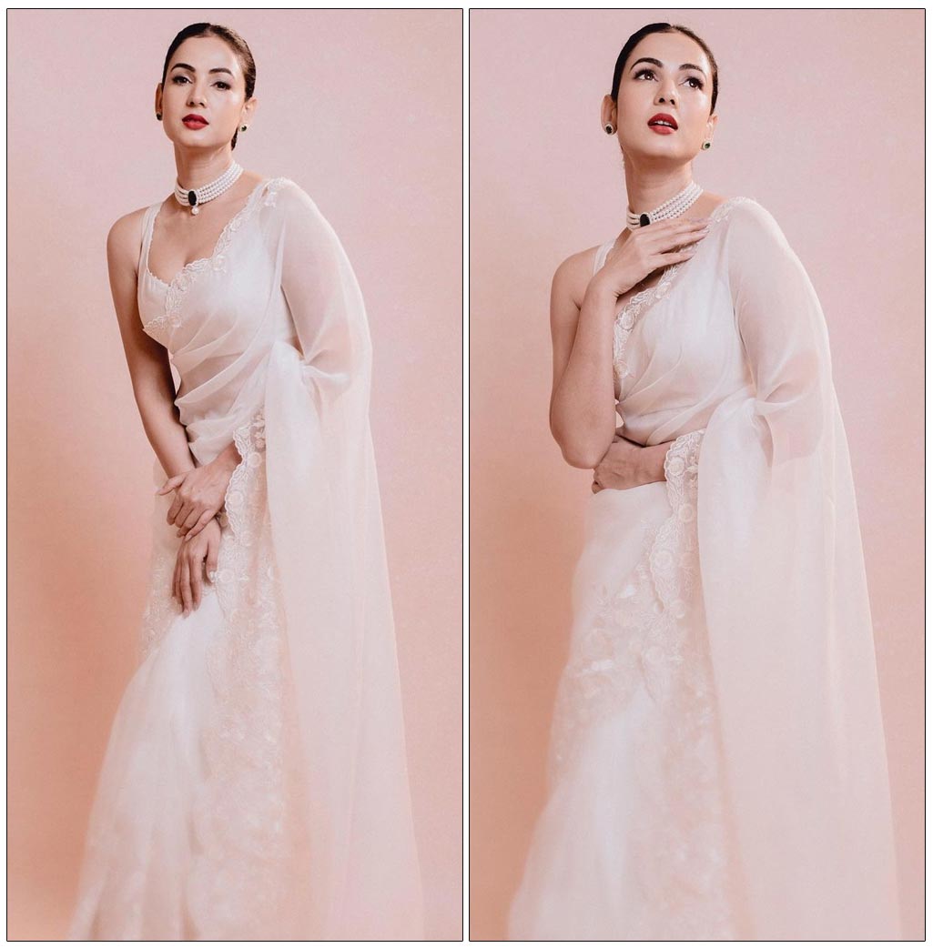 Sonal Chauhan Captivates With Her Sensuous Poses