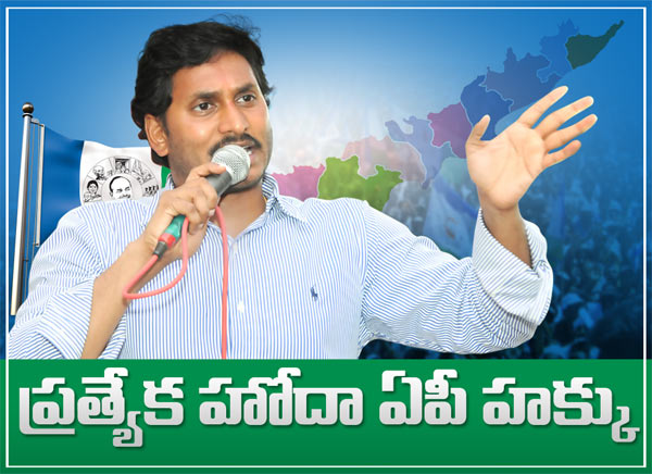 Special Status for AP: Jagan's fast enters third day