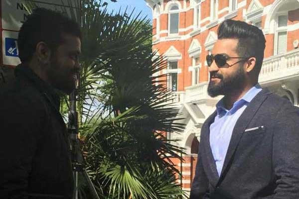 Sukumar's Perfection for NTR's Film