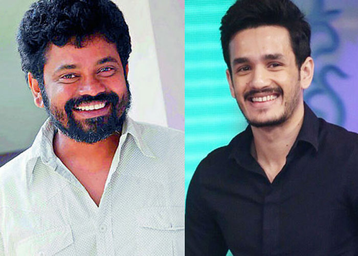 Sukumar to Work with Akhil Soon?