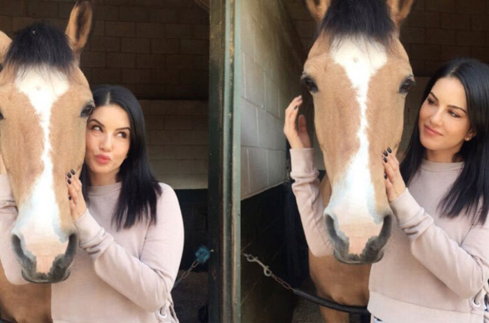 Sunny Leone with Horse