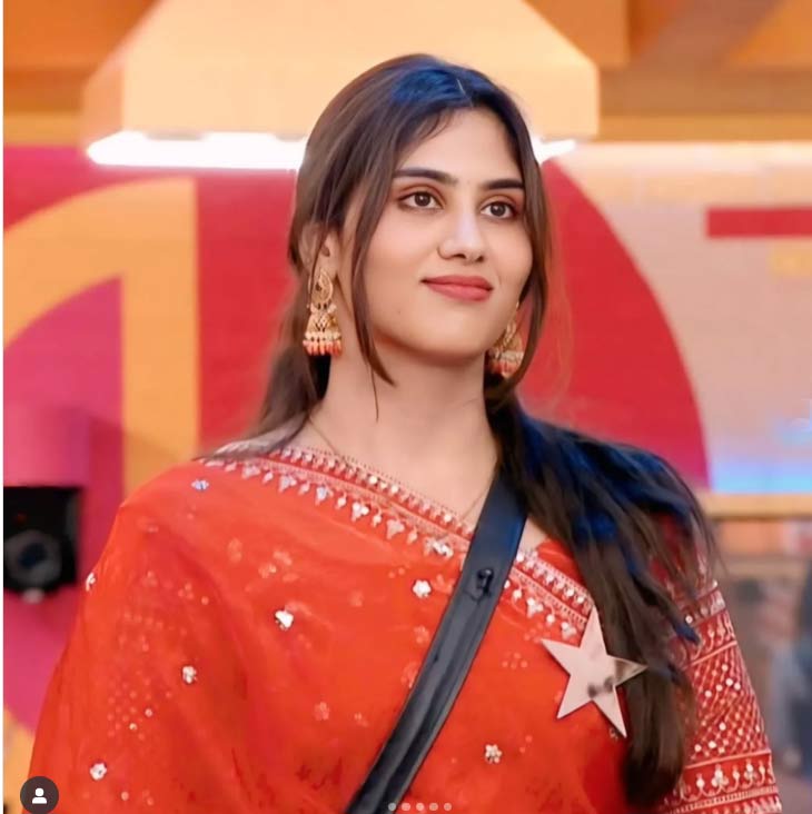 Surprise Elimination From Telugu BB 9