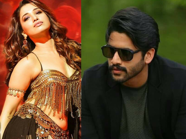 Tamannah's Item Song for Savyasacbi