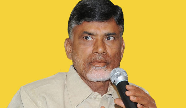 TDP Suffers with Its Stand