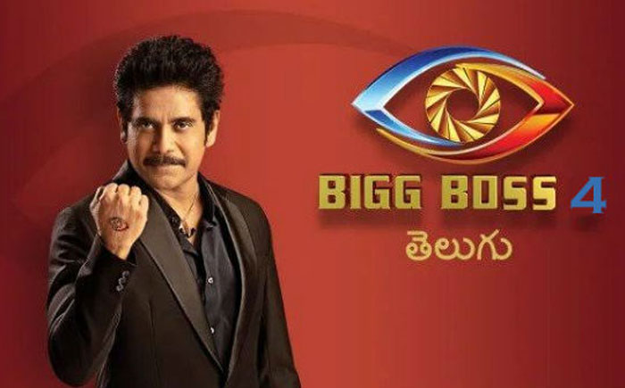 These Are Contestants of Bigg Boss 4?