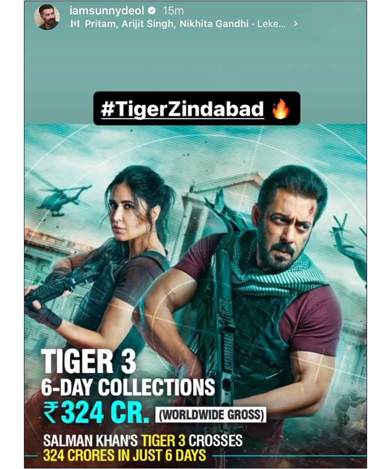 Tiger 3 Six Days World Wide Box Office Collection