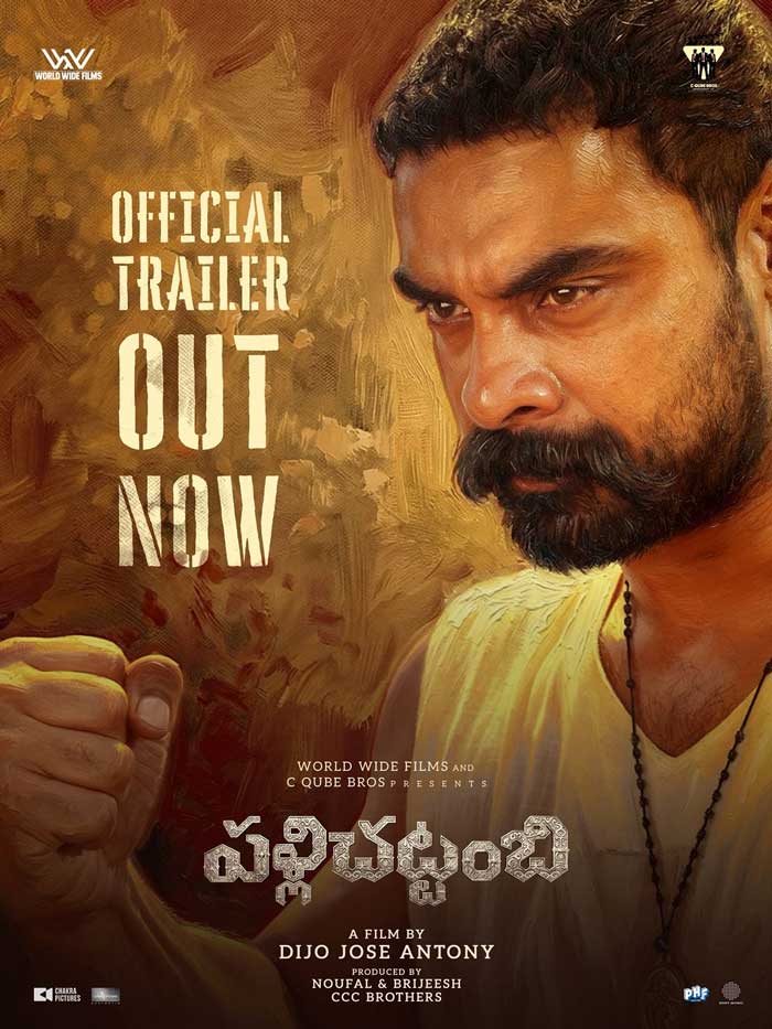 Tovino Thomas Pallichattambi 