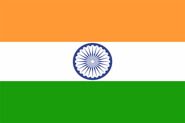 Use only paper National Flags on I-Day