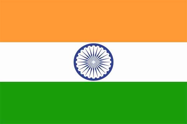 Use only paper National Flags on I-Day