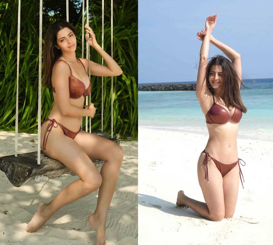 Vedhika Raises Heat In Brown Bikini