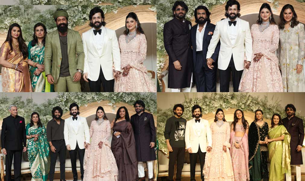 Wedding Reception Of Akhil, Zainab