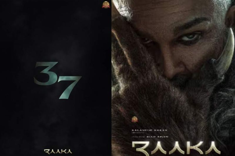 What does Raaka cryptic post signify
