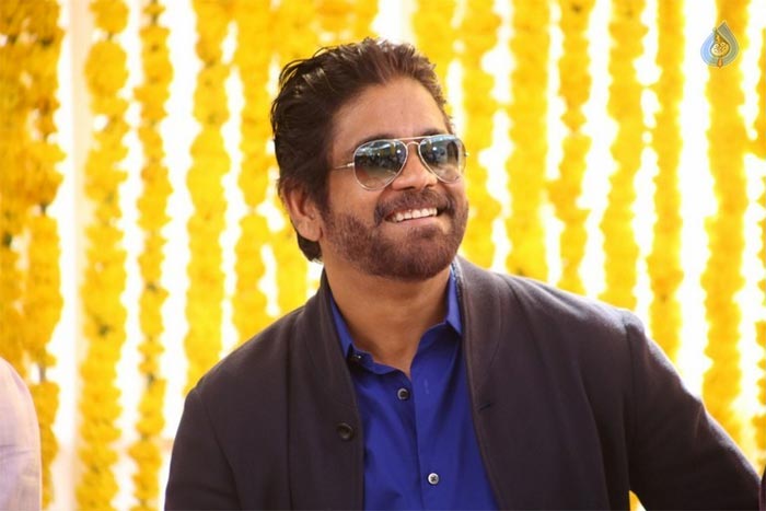 What is Nagarjuna in Raju Gari Gadi 2?