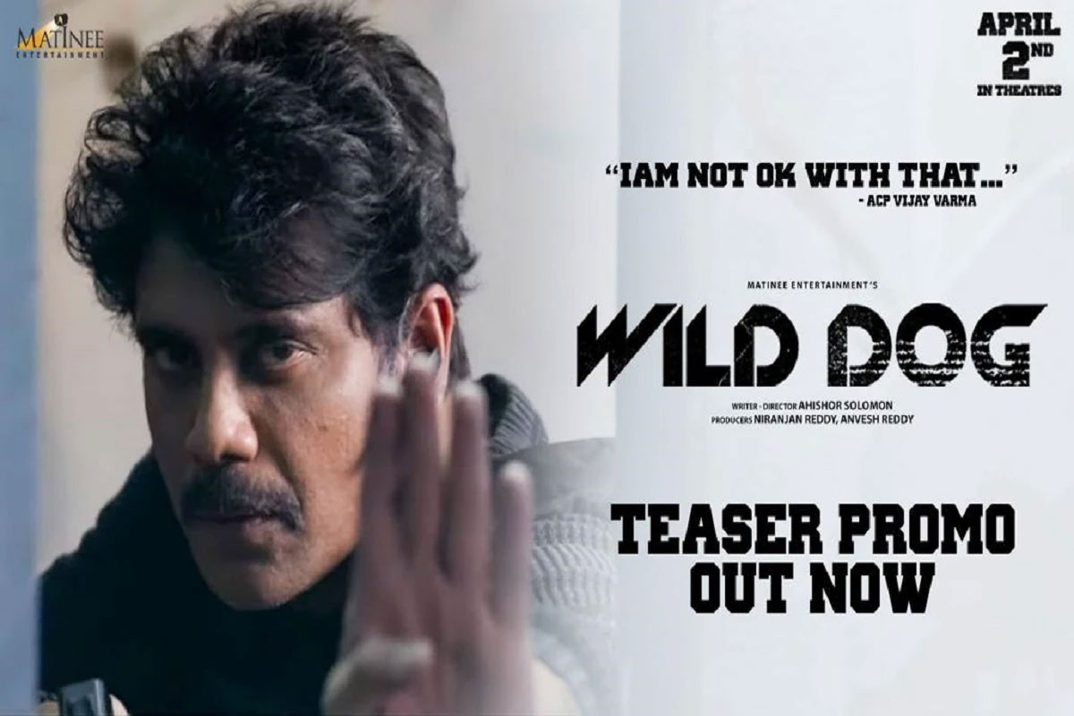 Wild Dog Teaser: Intriguing