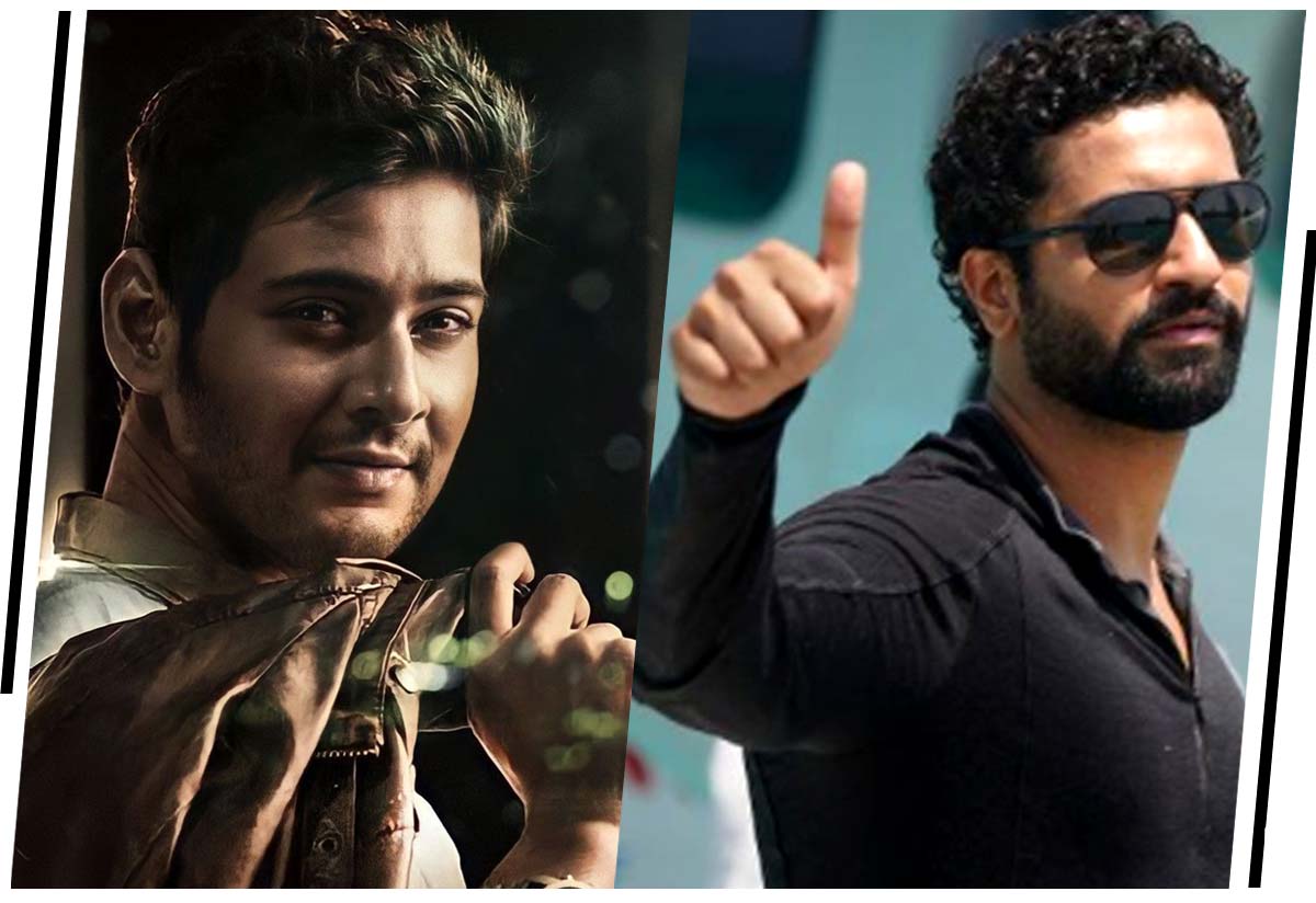 Will Mahesh Babu combo with Vicky Kaushal come true?