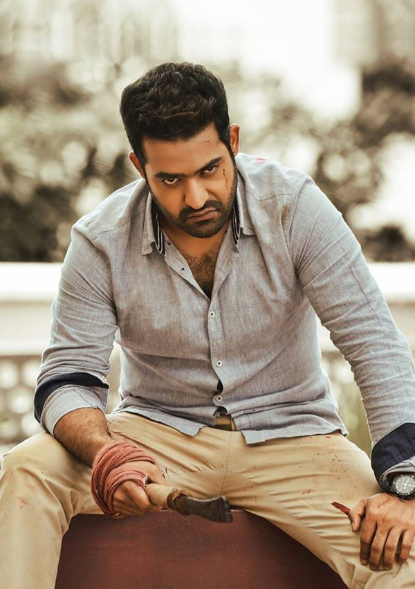 Will NTR Enter Politics?