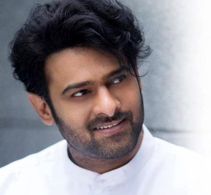 Young Rebel Star Prabhas