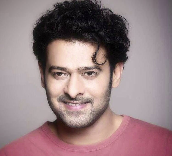 Young Rebel Star Prabhas
