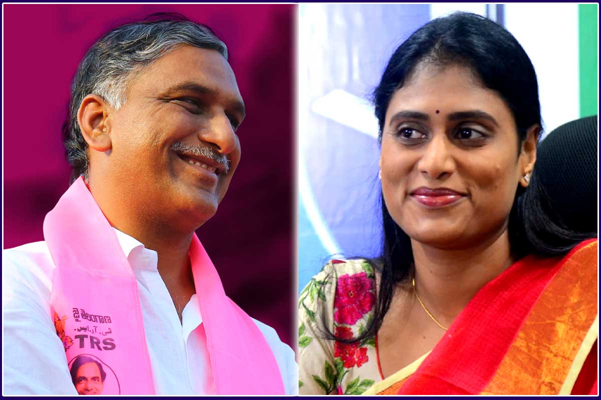 YS Sharmila Targeting Harish Rao