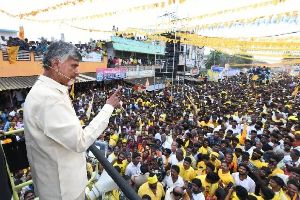 TDP pledges BC reservations