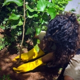 Anupama Parameswaran Green India Challenge