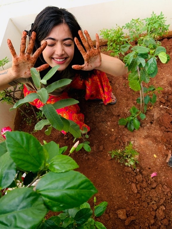 Rashmika Mandanna Green India Challenge - 1 / 5 photos