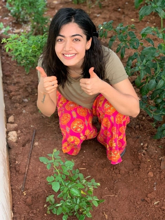 Rashmika Mandanna Green India Challenge - 2 / 5 photos