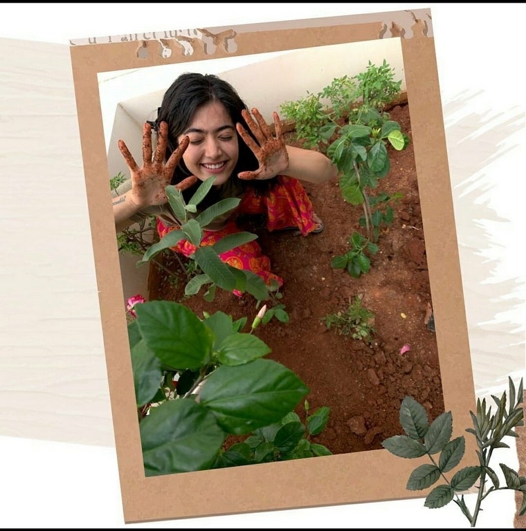Rashmika Mandanna Green India Challenge - 5 / 5 photos