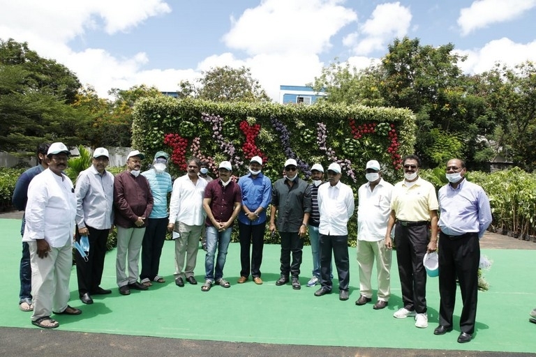 Mega Brothers in Green India Challenge - 9 / 9 photos
