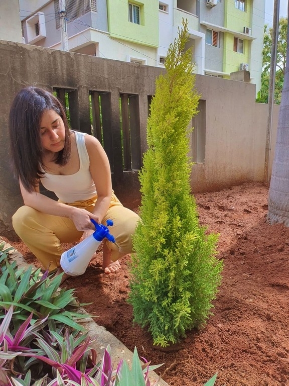 Raashi khanna Green India Challenge - 3 / 4 photos