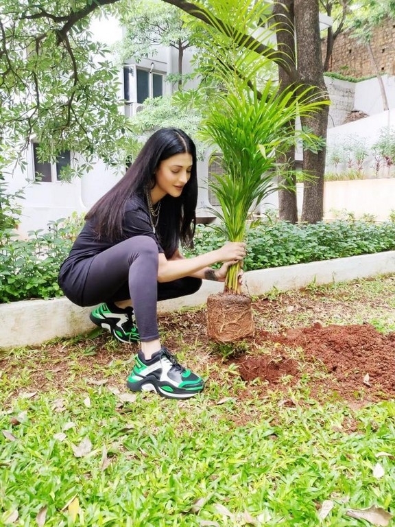 Shruti Hassan Green India Challenge - 1 / 2 photos