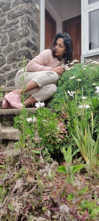 Amala Paul Photos - 1 / 3 photos