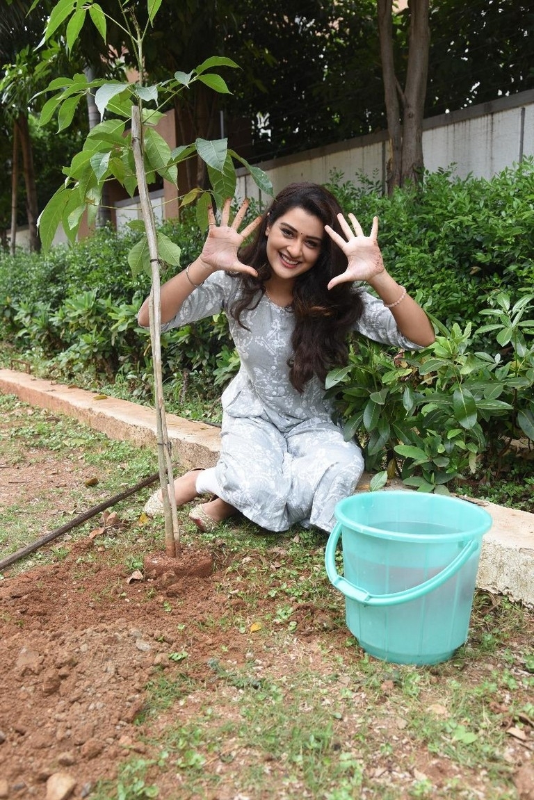 Payal Rajput Green India Challenge - 2 / 4 photos