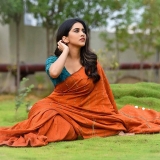 Nabha Natesh Photos