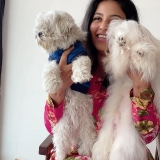 Anjali New Photos