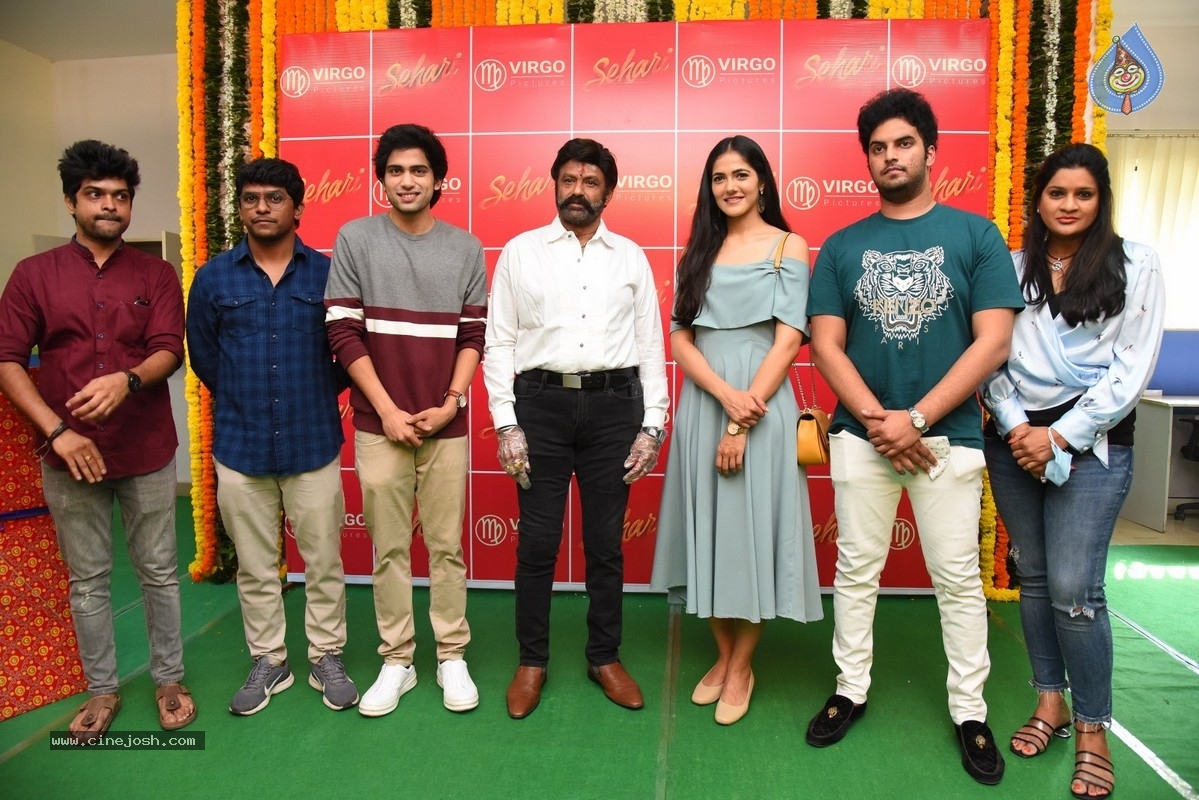 Sehari First look Launch by Nandamuri Balakrishna - 17 / 21 photos