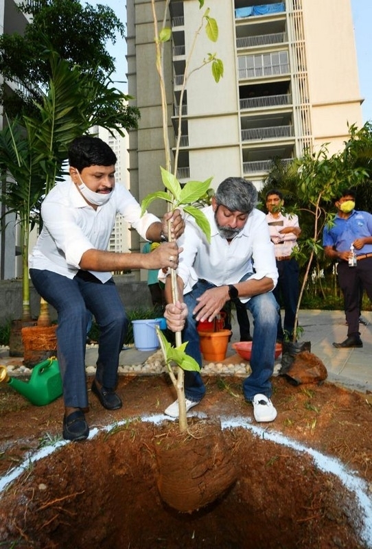 Jagapathi Babu Accepted Green India Challenge - 4 / 4 photos