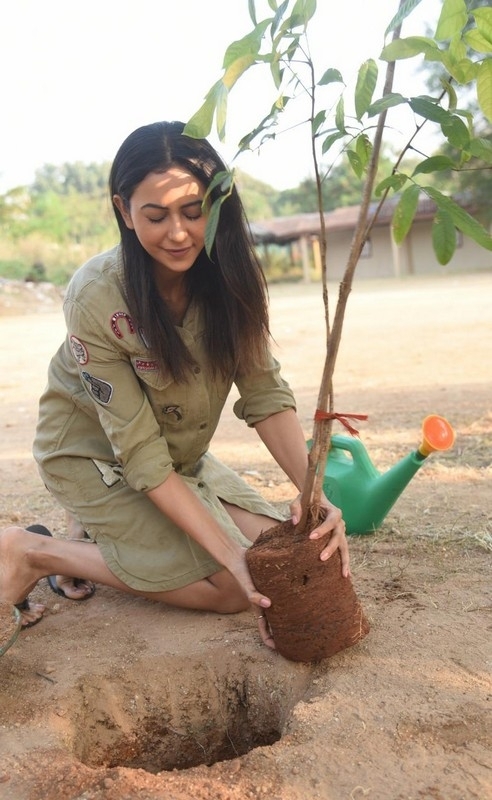 Rakul Preet Accepted Green India Challenge - 4 / 4 photos