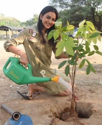 Rakul Preet Accepted Green India Challenge - 1 of 4