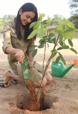 Rakul Preet Accepted Green India Challenge - 2 of 4