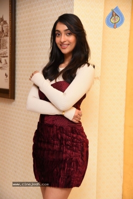 Amrin Qureshi Interview Photos - 15 of 20
